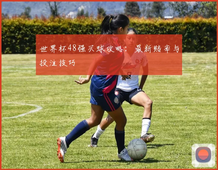 世界杯48强买球攻略：最新赔率与投注技巧