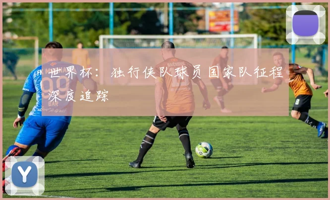 世界杯:独行侠队球员国家队征程深度追踪