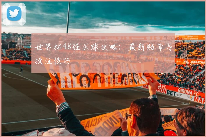 世界杯48强买球攻略:最新赔率与投注技巧