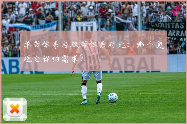 单带体系与双带体系对比：哪个更适合你的需求？