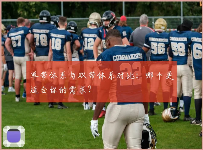 单带体系与双带体系对比:哪个更适合你的需求?