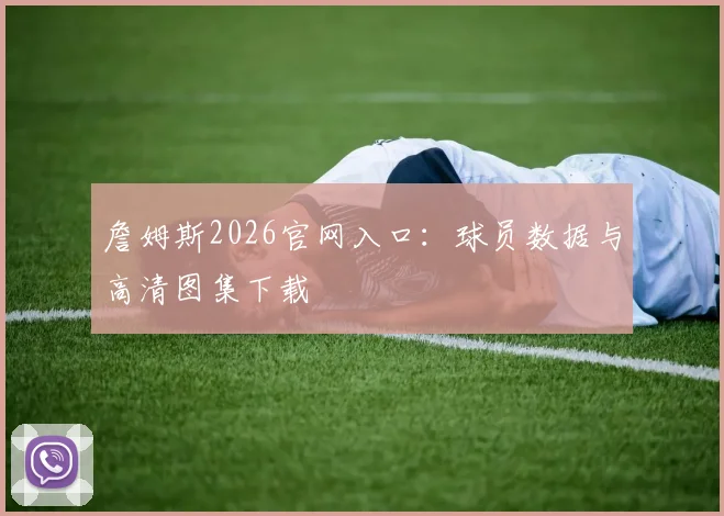 詹姆斯2026官网入口:球员数据与高清图集下载