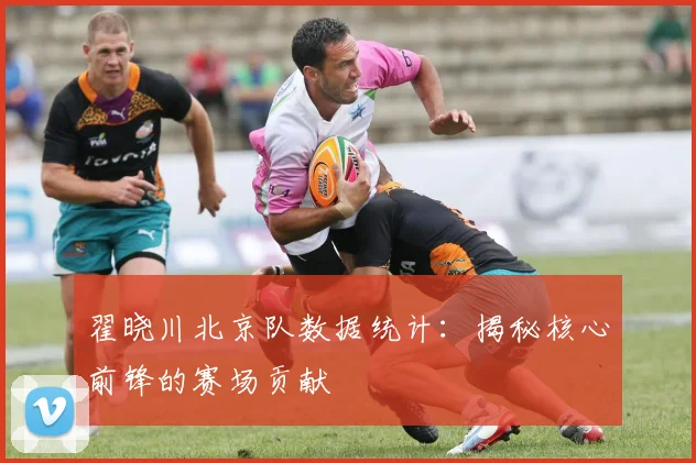 翟晓川北京队数据统计：揭秘核心前锋的赛场贡献